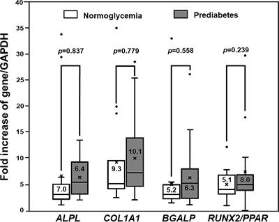 Receptors of Advanced Glycation End Product (RAGE) Suppression Associated With a Preserved Osteogenic Differentiation in Patients With Prediabetes